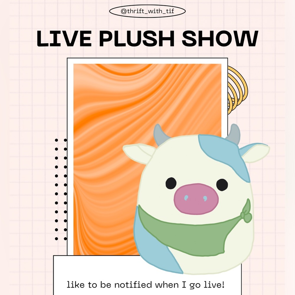 Live plush show flyer
